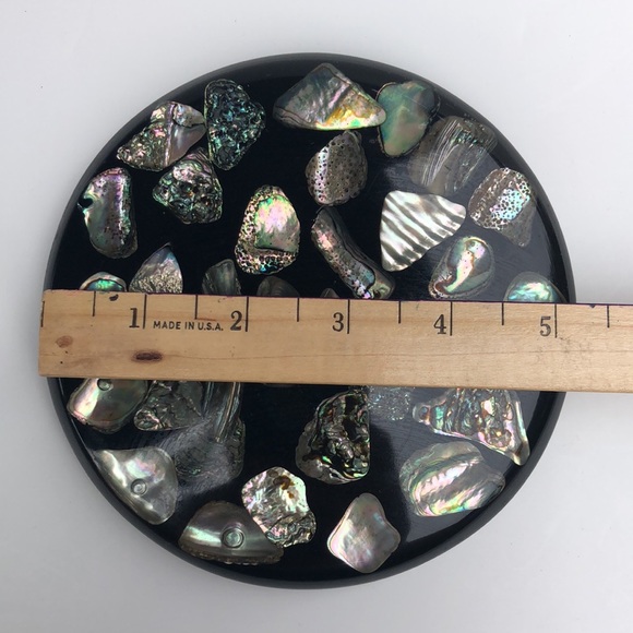 2  Abalone Trivets - Picture 4 of 7